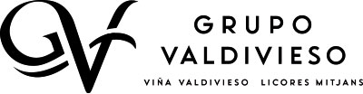 logo-grupo-valdivieso